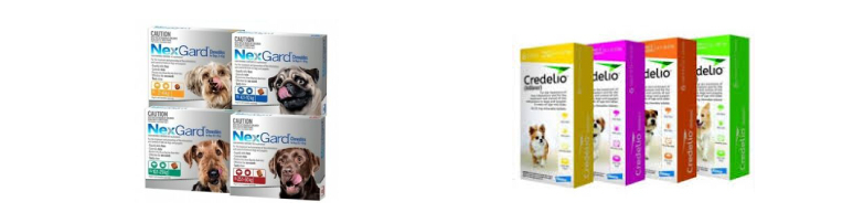Prevention for Flea and Tick Image banner